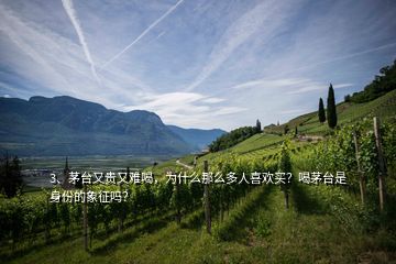 3、茅臺(tái)又貴又難喝，為什么那么多人喜歡買？喝茅臺(tái)是身份的象征嗎？