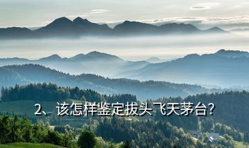 2、該怎樣鑒定拔頭飛天茅臺(tái)？