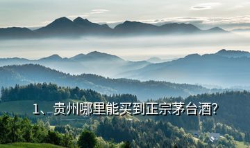 1、貴州哪里能買到正宗茅臺酒？