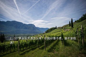 2、53°茅臺(tái)迎賓酒怎么樣？?jī)r(jià)格好像不貴，是不是假酒？