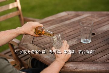 3、如何分清茅臺酒、系列酒、集團(tuán)酒、茅臺鎮(zhèn)酒？