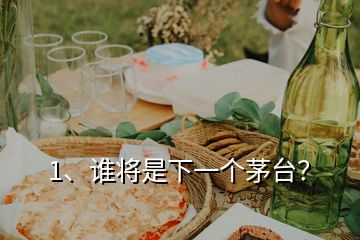 1、誰(shuí)將是下一個(gè)茅臺(tái)？