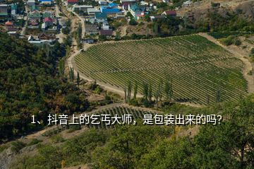 1、抖音上的乞丐大師，是包裝出來的嗎？