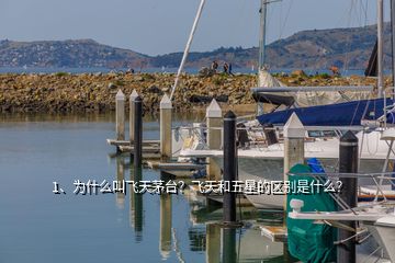1、為什么叫飛天茅臺？飛天和五星的區(qū)別是什么？