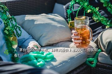 3、茅臺(tái)于2001年上市，18年間股價(jià)上漲200倍，你如何看？