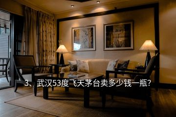 3、武漢53度飛天茅臺(tái)賣(mài)多少錢(qián)一瓶？
