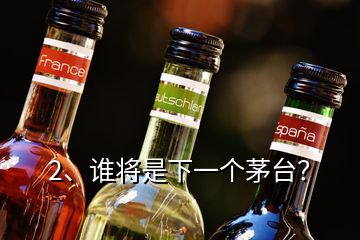 2、誰將是下一個茅臺？