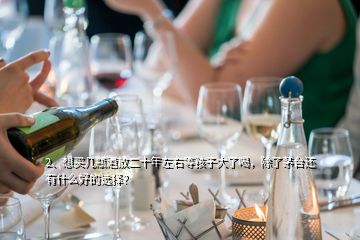 2、想買幾瓶酒放二十年左右等孩子大了喝，除了茅臺還有什么好的選擇？