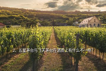 2、五星茅臺與飛天茅臺在酒質(zhì)上有什么不一樣？