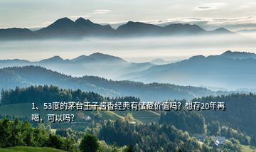 1、53度的茅臺(tái)王子醬香經(jīng)典有儲(chǔ)藏價(jià)值嗎？想存20年再喝，可以嗎？