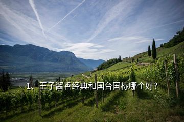 1、王子醬香經(jīng)典和國臺國標哪個好？
