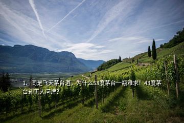 1、同是飛天茅臺(tái)酒，為什么53度茅臺(tái)一瓶難求！43度茅臺(tái)卻無(wú)人問(wèn)津？