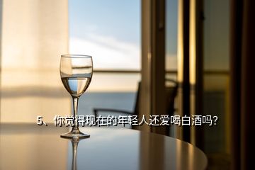 5、你覺得現(xiàn)在的年輕人還愛喝白酒嗎？