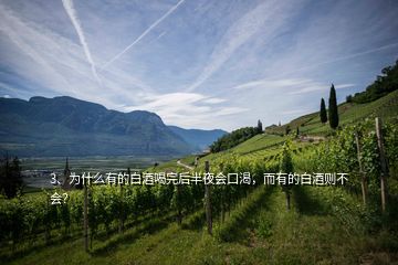 3、為什么有的白酒喝完后半夜會口渴，而有的白酒則不會？