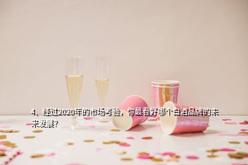 4、經(jīng)過2020年的市場考驗(yàn)，你最看好哪個白酒品牌的未來發(fā)展？