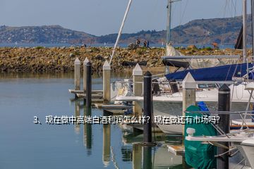3、現(xiàn)在做中高端白酒利潤(rùn)怎么樣？現(xiàn)在做還有市場(chǎng)嗎？