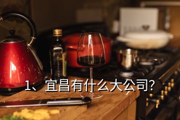 1、宜昌有什么大公司？
