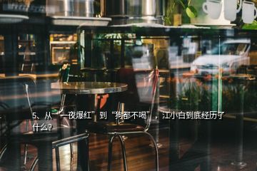 5、從“一夜爆紅”到“狗都不喝”，江小白到底經(jīng)歷了什么？