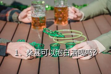 1、桑葚可以泡白酒喝嗎？