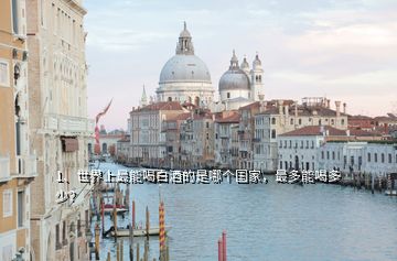 1、世界上最能喝白酒的是哪個國家，最多能喝多少？