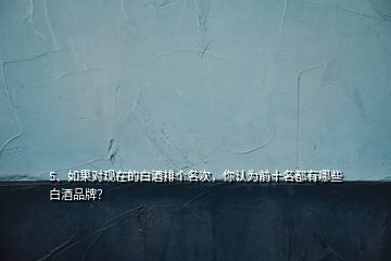 5、如果對(duì)現(xiàn)在的白酒排個(gè)名次，你認(rèn)為前十名都有哪些白酒品牌？