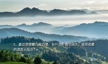 5、最近想收藏幾瓶白酒，有什么升值空間大，值得收藏的請(qǐng)高人指點(diǎn)？