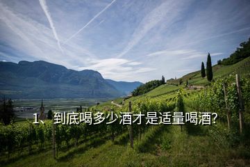 1、到底喝多少酒才是適量喝酒？