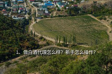 1、做白酒代理怎么樣？新手怎么操作？