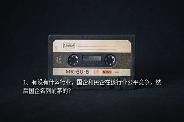 1、有沒有什么行業(yè)，國企和民企在該行業(yè)公平競爭，然后國企名列前茅的？