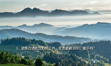 3、銷售白酒和飲料的工作，無(wú)責(zé)底薪3800，能干嗎？