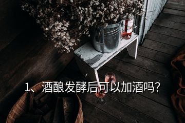 1、酒釀發(fā)酵后可以加酒嗎？
