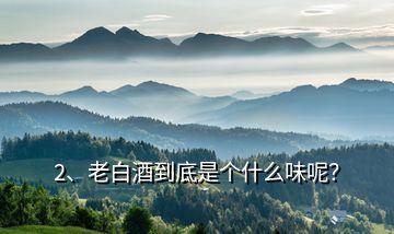 2、老白酒到底是個什么味呢？