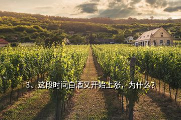 3、這段時(shí)間白酒又開始上漲，為什么？