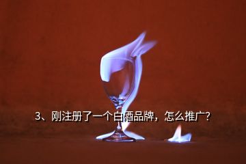 3、剛注冊(cè)了一個(gè)白酒品牌，怎么推廣？