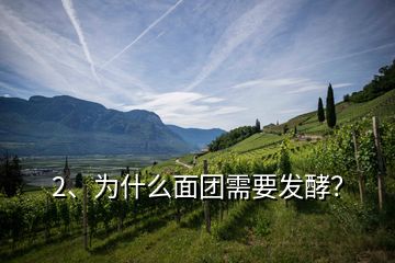 2、為什么面團需要發(fā)酵？