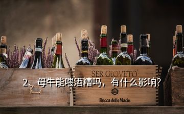 2、母牛能喂酒糟嗎，有什么影響？