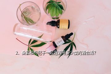 2、桑葚和枸杞子一起泡酒用多少度的酒合適？
