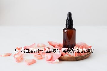 1、喝白酒有什么品牌好，可以介紹給我嗎？