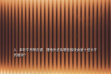 3、本輪牛市除白酒、鋰電外還有哪些板塊會(huì)是十倍大牛的板塊？