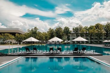 1、為什么河南消耗這么多白酒，卻沒有一個(gè)白酒品牌？