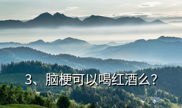 3、腦?？梢院燃t酒么？