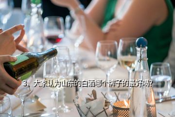 3、大家認(rèn)為山東的白酒哪個(gè)牌子的最好喝？