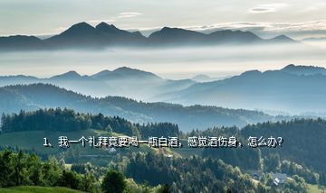 1、我一個禮拜竟要喝一瓶白酒，感覺酒傷身，怎么辦？