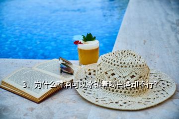 3、為什么啤酒可以冰鎮(zhèn)著喝白酒卻不行？