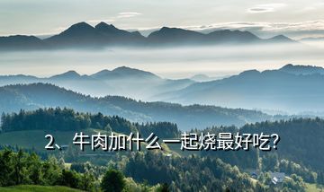 2、牛肉加什么一起燒最好吃？