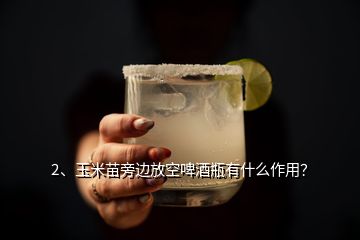2、玉米苗旁邊放空啤酒瓶有什么作用？