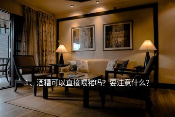 1、酒糟可以直接喂豬嗎？要注意什么？