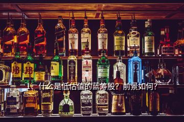 1、什么是低估值的藍(lán)籌股？前景如何？