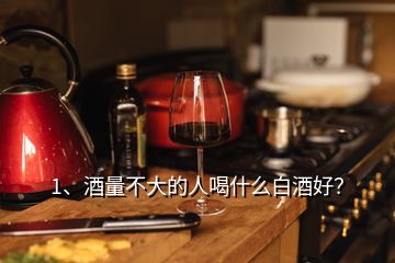 1、酒量不大的人喝什么白酒好？