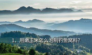 1、用嫩玉米怎么泡制釣魚窩料？
